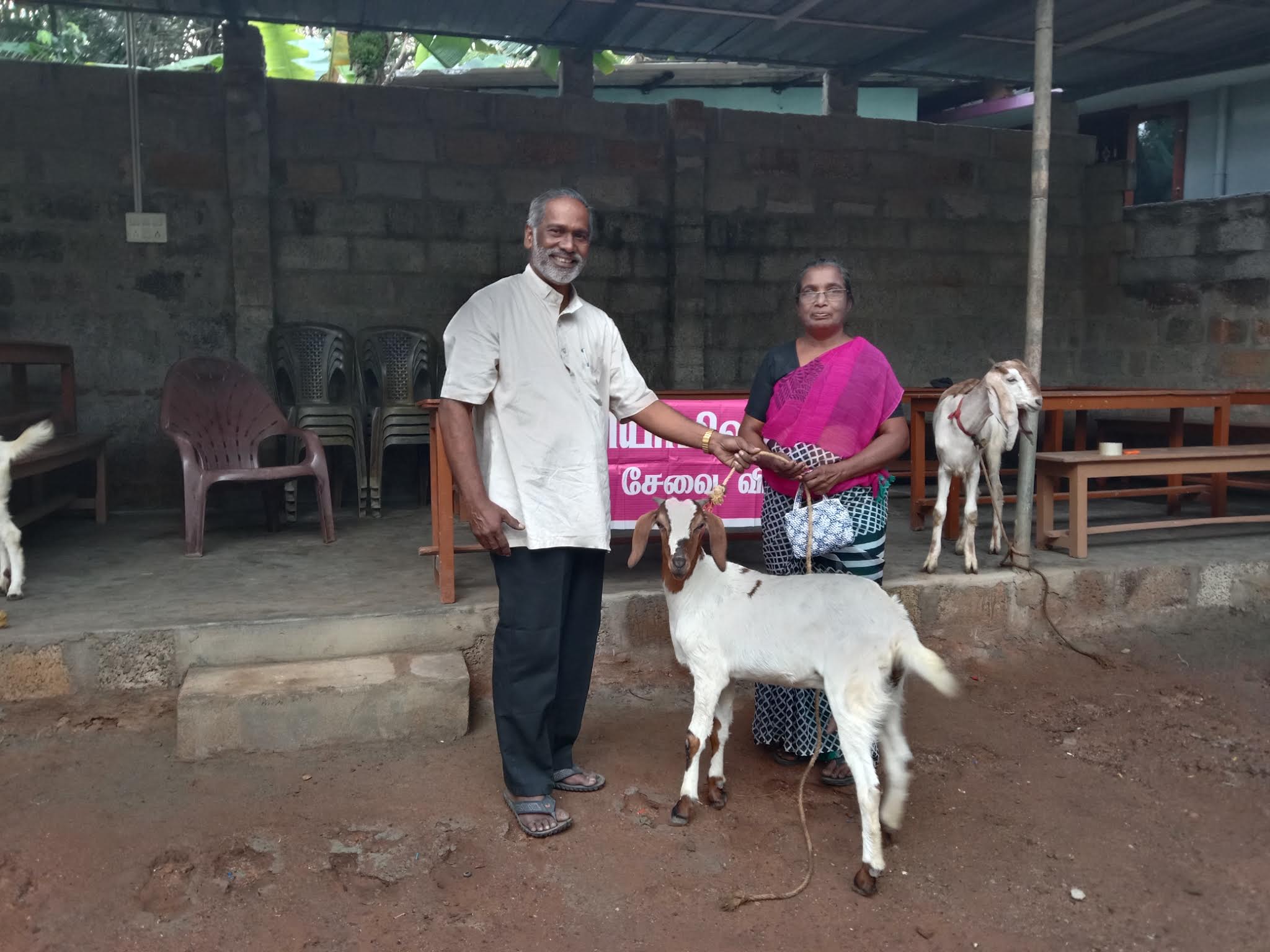 Livelihood animal distribution to support rural family